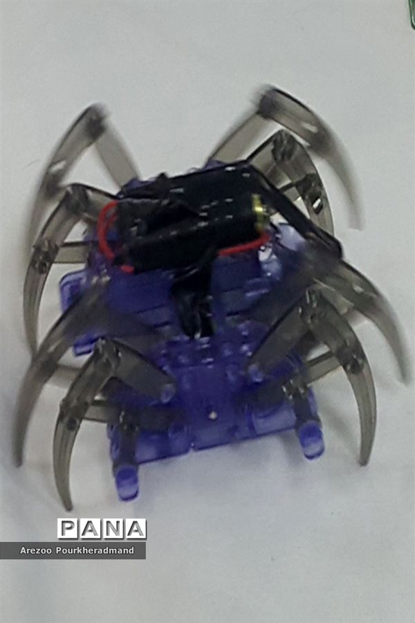 آیین افتتاحیه نمایشگاه توانمندی‌های دانش‌آموزی دبیرستان شهید رحیمی‌فر میبد