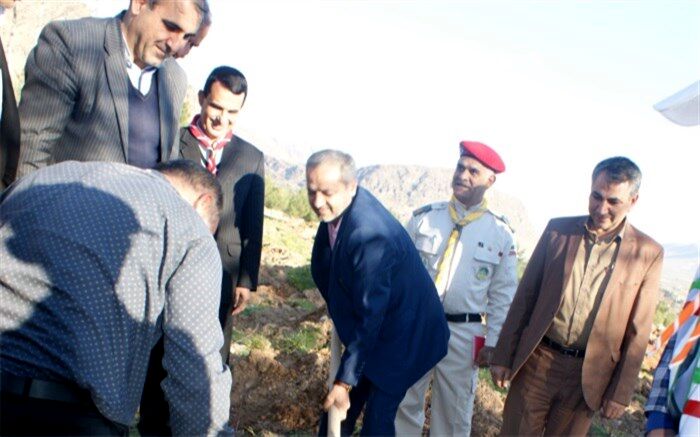 کاشت 1000 اصله نهال در اردو گاه ایت اااه کمالوند خرم آباد