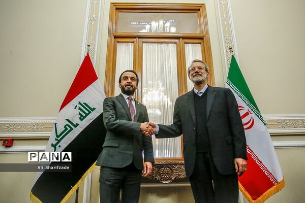 دیدار علی لاریجانی با رئیس مجلس عراق