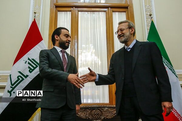 دیدار علی لاریجانی با رئیس مجلس عراق