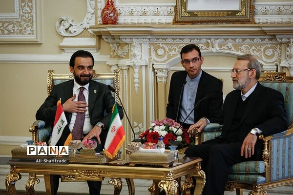 دیدار علی لاریجانی با رئیس مجلس عراق