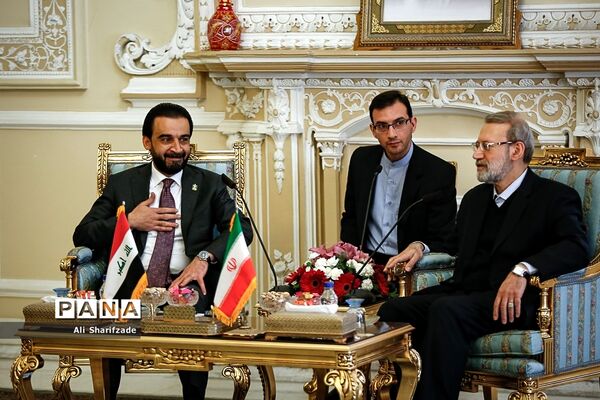دیدار علی لاریجانی با رئیس مجلس عراق