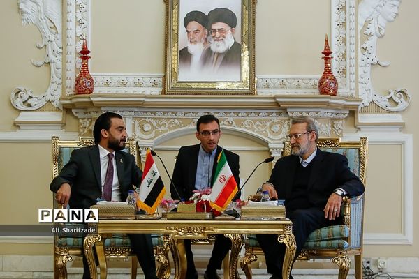 دیدار علی لاریجانی با رئیس مجلس عراق