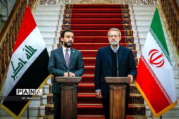 دیدار علی لاریجانی با رئیس مجلس عراق