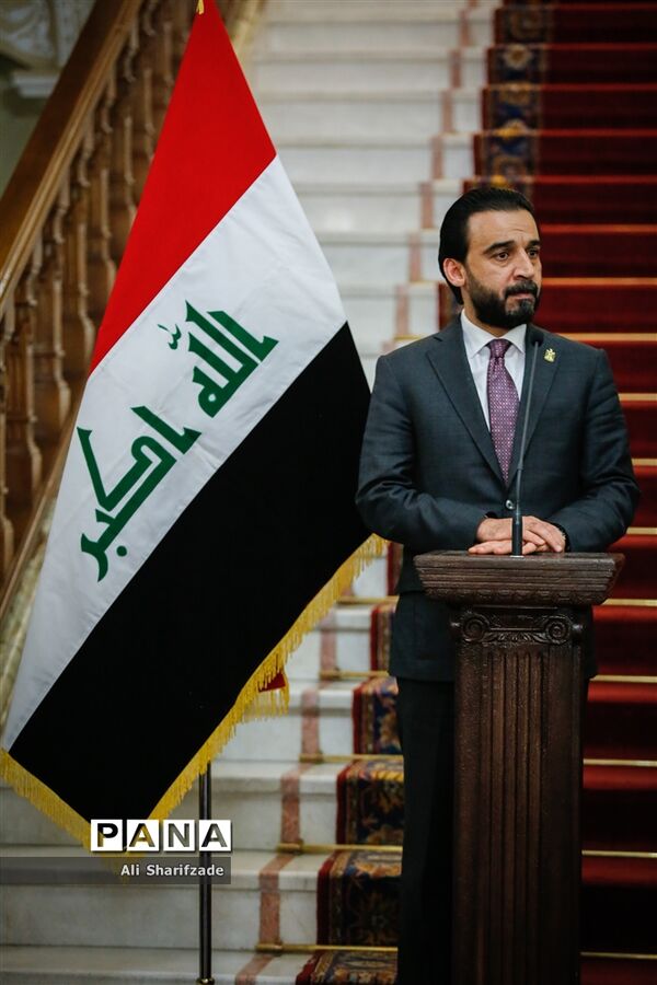 دیدار علی لاریجانی با رئیس مجلس عراق