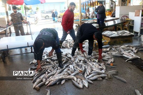 فصل ماهیگیری