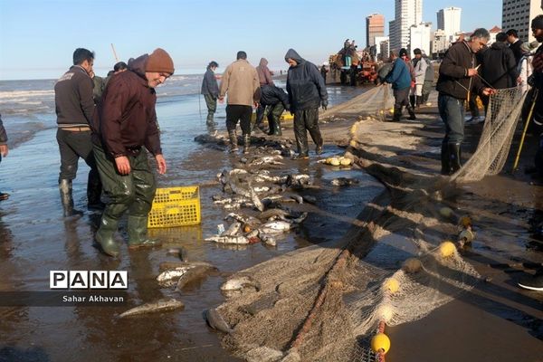 فصل ماهیگیری