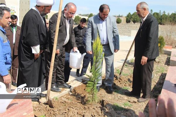 جشن درختکاری در استان قم