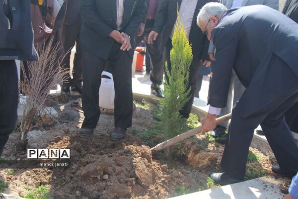 جشن درختکاری در استان قم