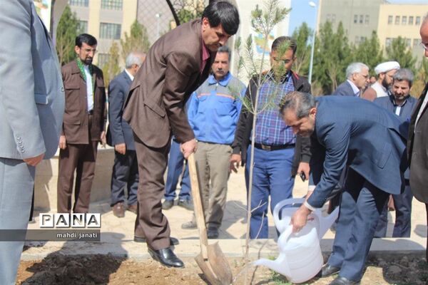 جشن درختکاری در استان قم