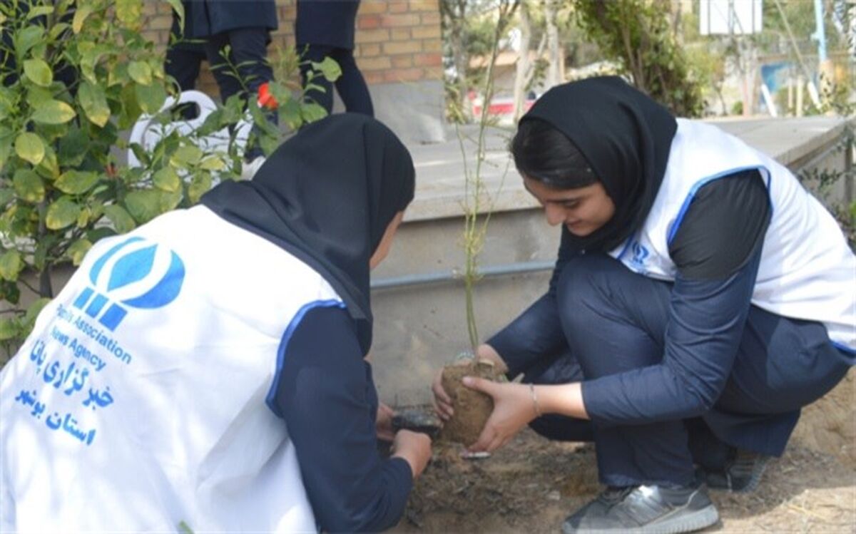 خبرنگاران پانا استان بوشهر نهال کاشتند