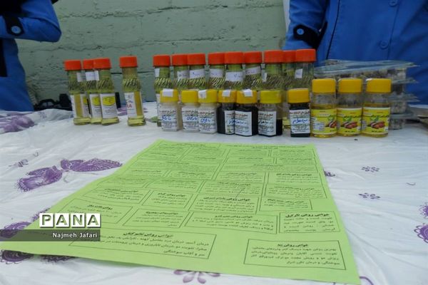 برپایی نمایشگاه و بازارچه کسب وکار دانش‌آموزی در زرین دشت