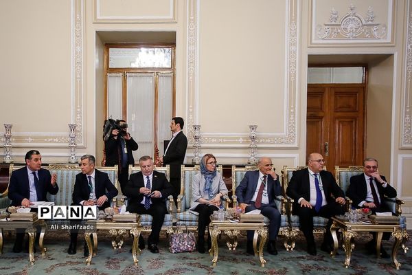 دیدار رئیس مجلس شورای اسلامی با نخست وزیر ارمنستان