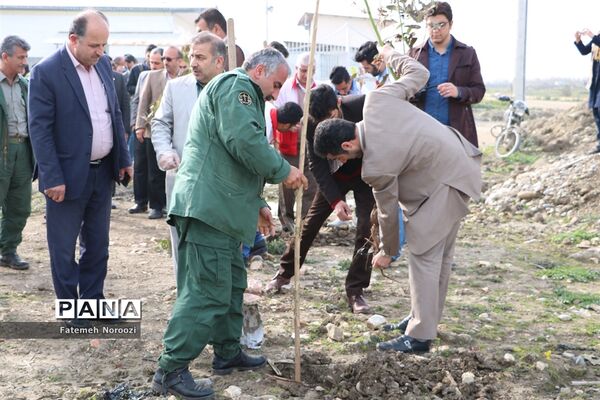 حضور دانش‌آموزان پیشتاز جویبار در آیین درختکاری