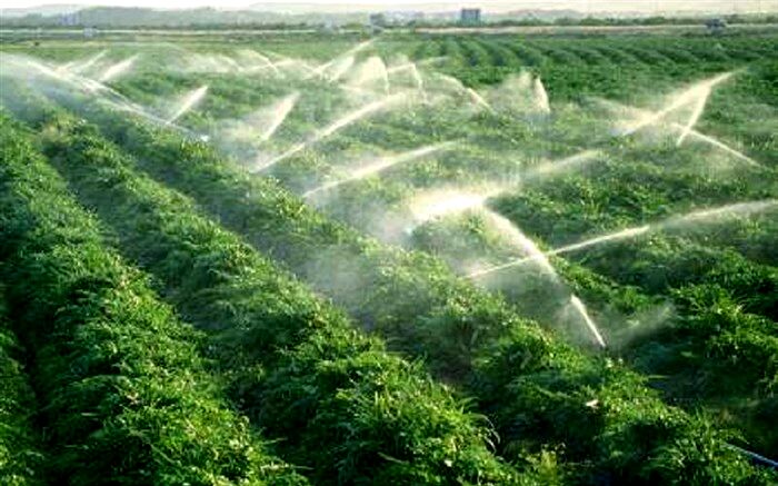 تجهیز 14.6 هزار هکتار زمین حوضه دریاچه ارومیه به آبیاری نوین