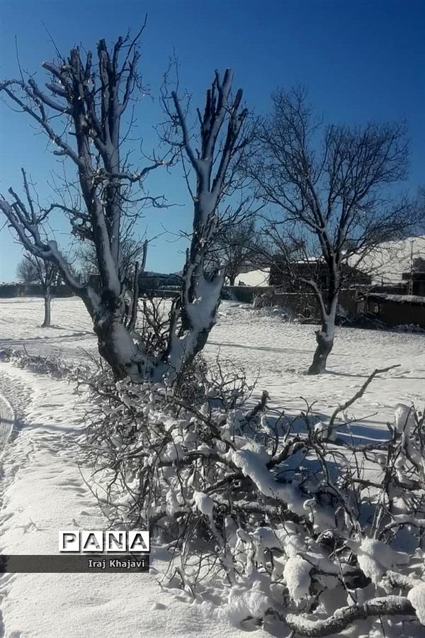 روستای سررگ از توابع شهرستان دهدز در خوزستان سپید پوش شد