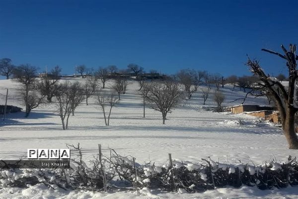 روستای سررگ از توابع شهرستان دهدز در خوزستان سپید پوش شد