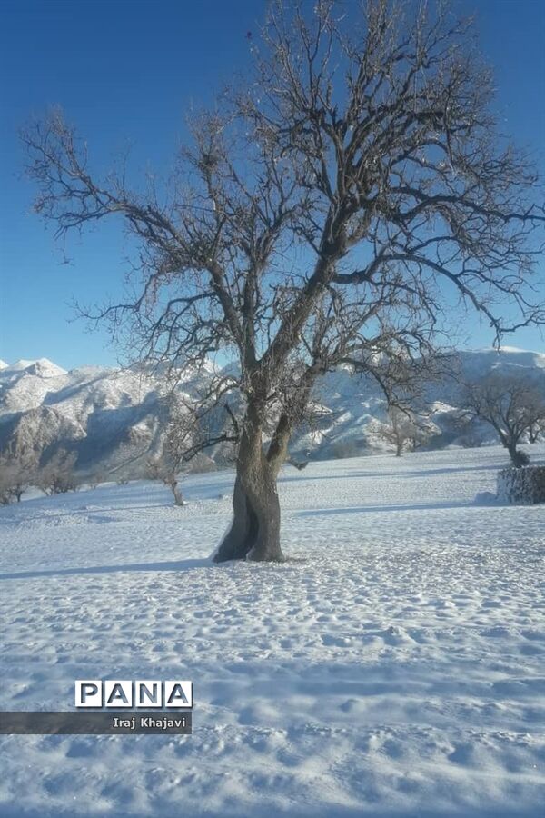 روستای سررگ از توابع شهرستان دهدز در خوزستان سپید پوش شد