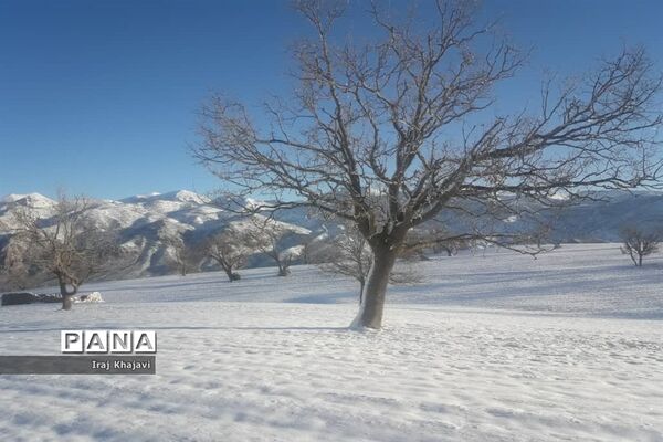 روستای سررگ از توابع شهرستان دهدز در خوزستان سپید پوش شد