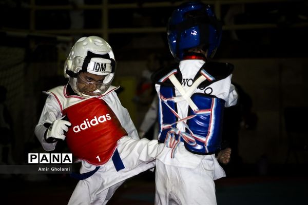 مسابقات تکواندو استان تهران