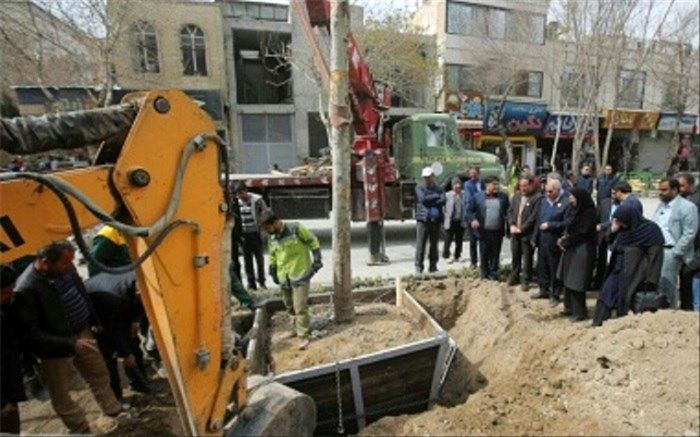 با دستور شهردار اصفهان، چنارهای 20 ساله به چهارباغ آمدند