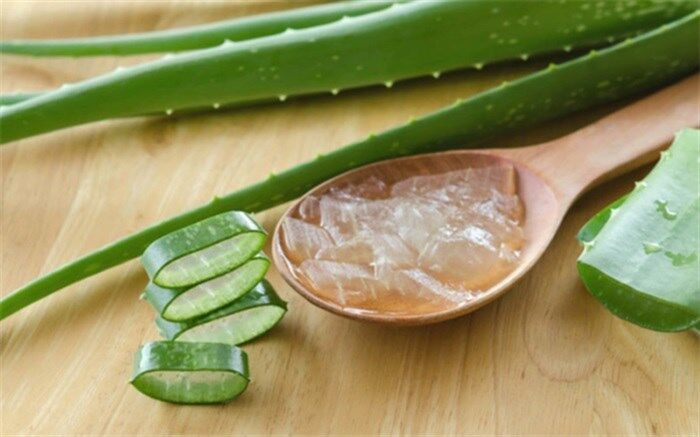 چگونه با آلوئه ورا لاغر شویم؟