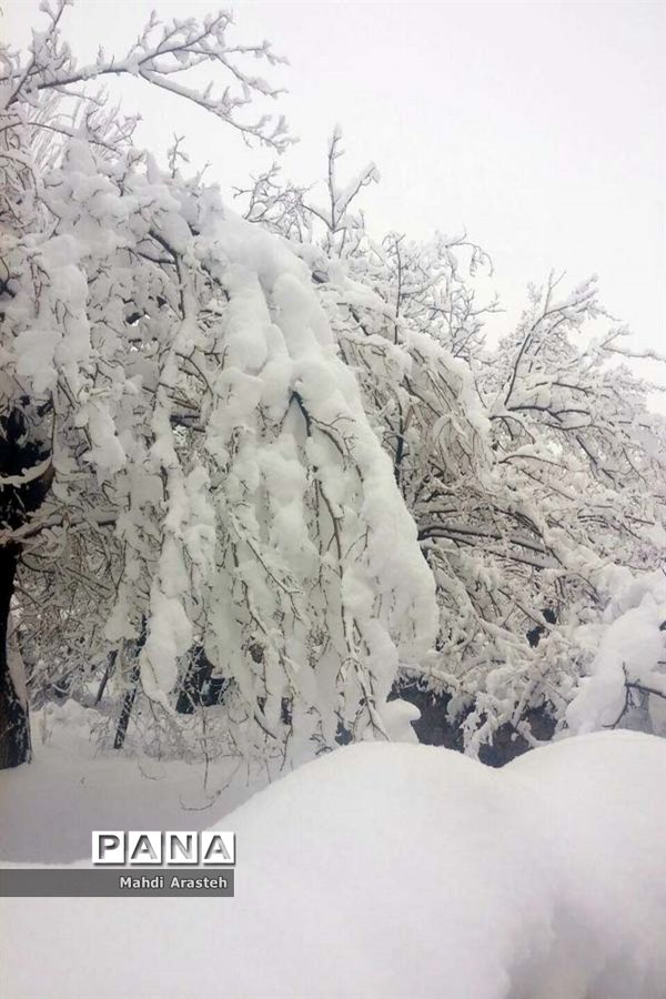 بارش اولین  برف در شهرستان های خراسان جنوبی