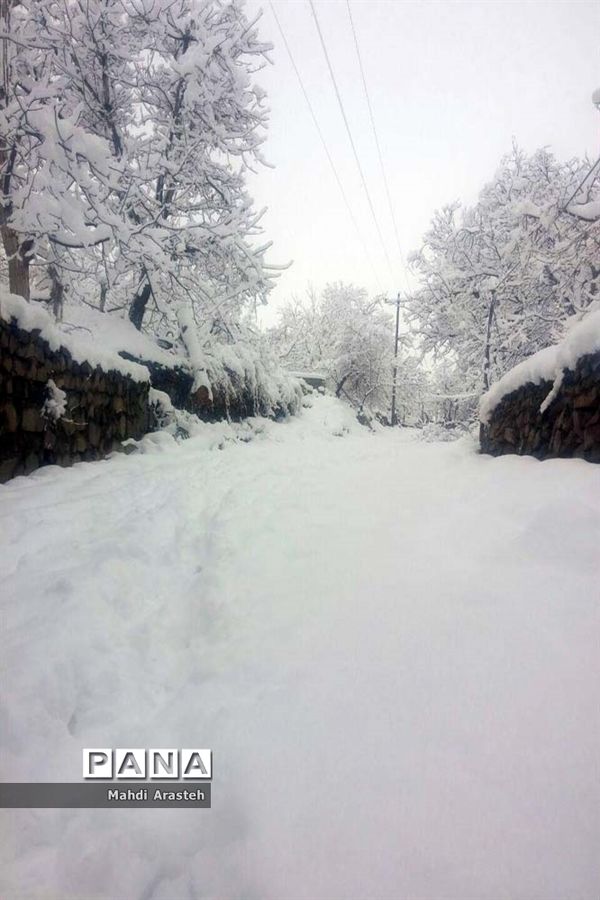بارش اولین  برف در شهرستان های خراسان جنوبی