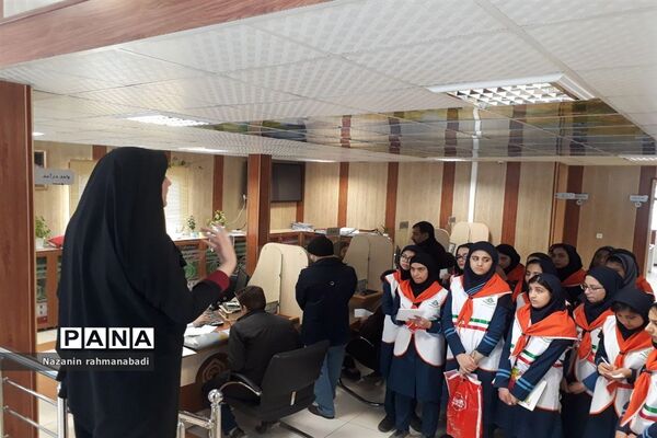 بازدید دانش‌آموزان از شعب تامین اجتماعی