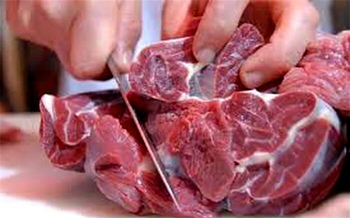 دستگیری دلال گوشت در نمایشگاه بهاره