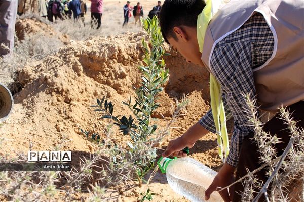 درختکاری دانش‌آموزان پیشتاز در بیمارستان پیوند اعضاء شیراز