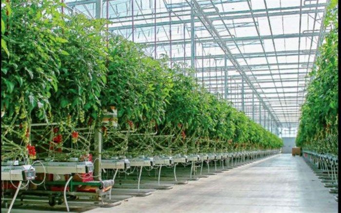 آغاز ساخت گلخانه ۱۰ هکتاری در دامغان