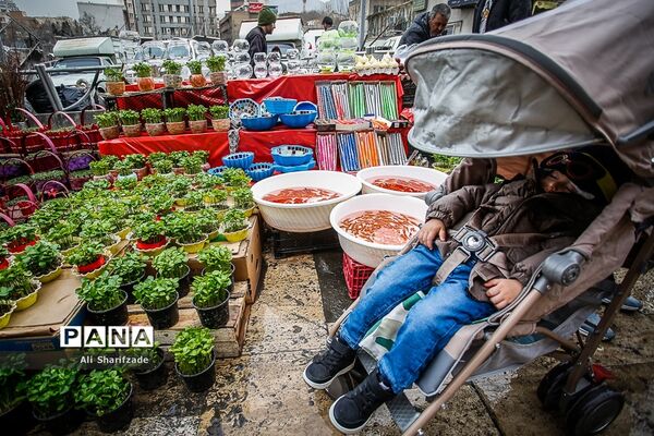حال و هوای میدان تجریش در آستانه سال نو