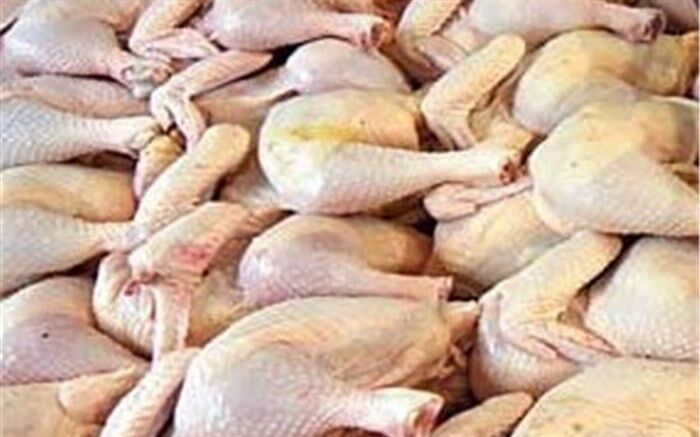 جوجه مرغ هایی که به مقصد نرسید