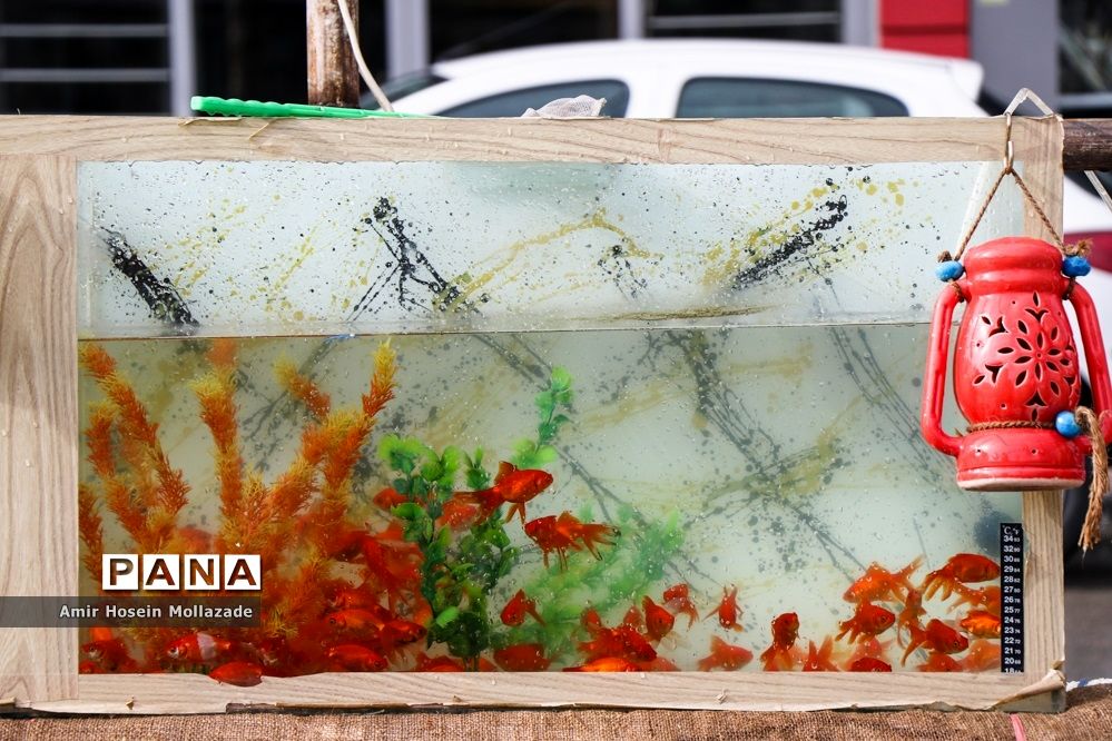 بازار فروش ماهی  و سبزه نوروزی در ارومیه