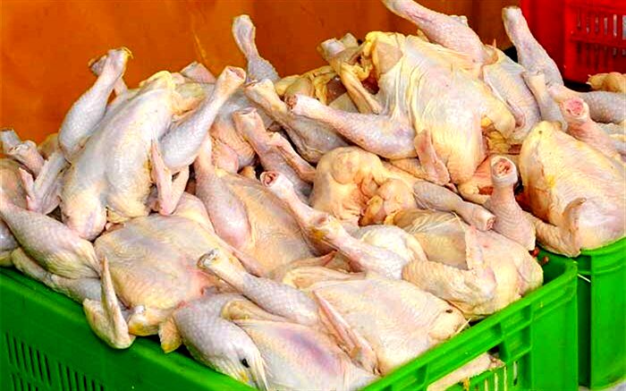قیمت مرغ در بازار ۴۷ درصد بالاتر از نرخ مصوب است