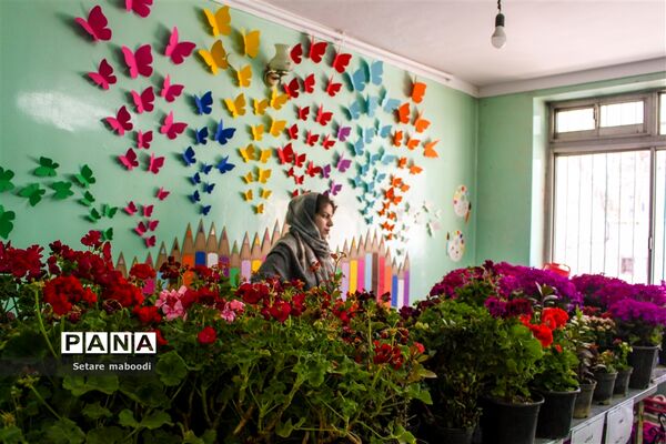 بازارچه خیریه موسسه خیریه دستان سبز همدلان الوند