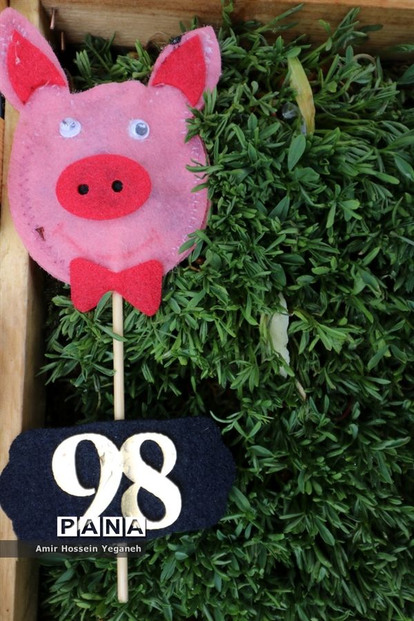 استقبال از بهار