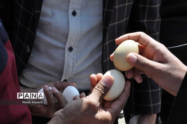 جشنواره بازی‌های بومی و محلی روستای ماژان شهرستان خوسف
