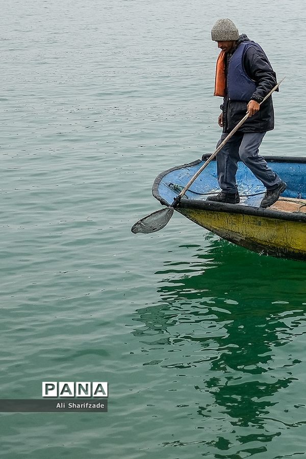 دریاچه شهدای خلیج فارس