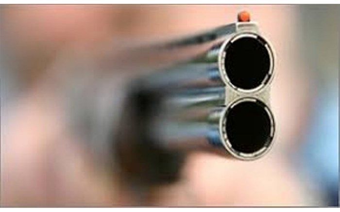 جزئیات تیراندازی پلیس در بزرگراه ستاری