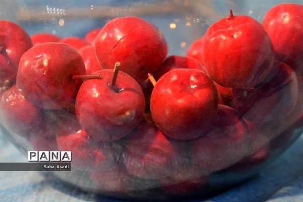 دکه های نوروزی در گله دار