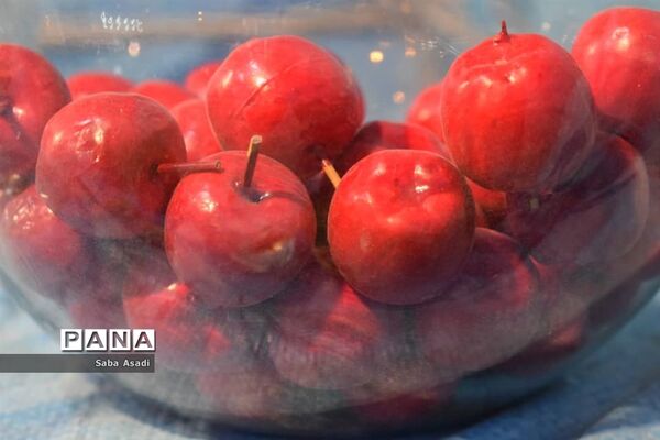 دکه های نوروزی در گله دار