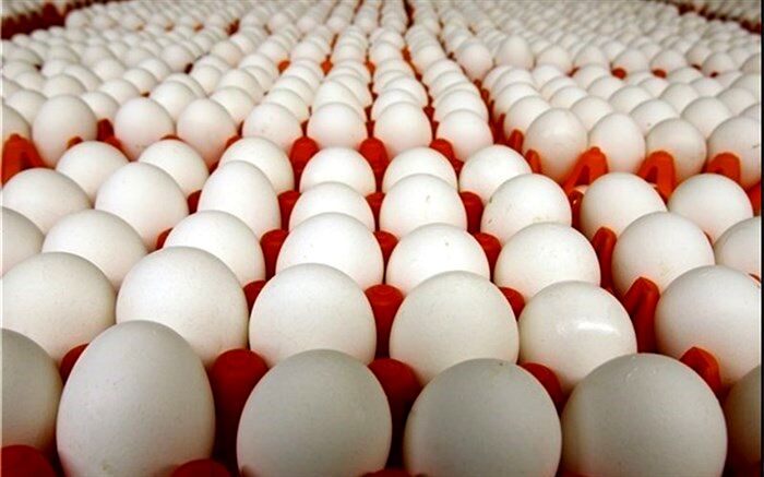 قیمت تخم‌مرغ به زیر ۵ هزارتومان کاهش می‌یابد