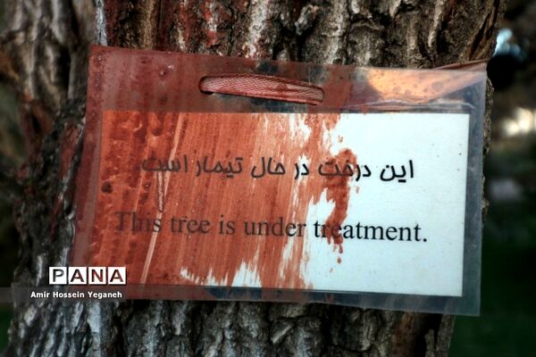 باغ گیاه شناسی مشهد