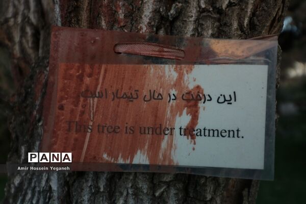 باغ گیاه شناسی مشهد