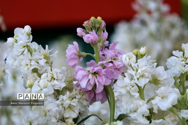 باغ گیاه شناسی مشهد