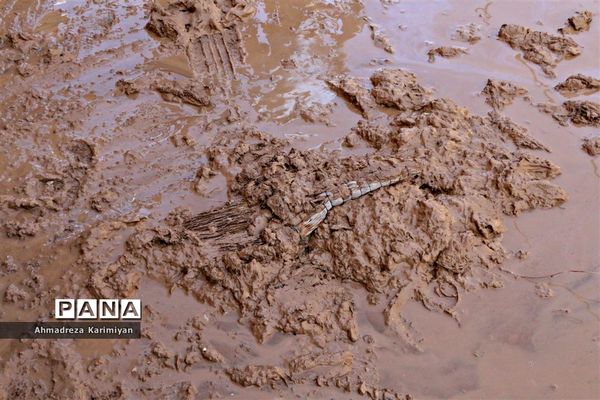 خانه‌تکانی مردم سیل‌زده شیراز در هفتمین روز از نوروز