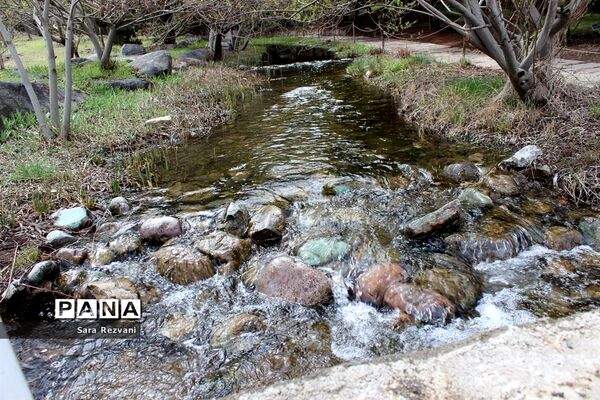 باغ گیاه شناسی ملی ایران