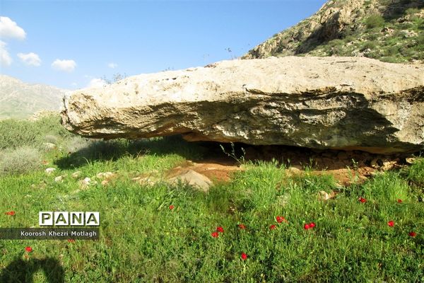 طبیعت آفتابی کازرون و جاده دوان بعد از بارندگی‌های شدید اخیر